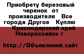 Приобрету березовый черенок  от производителя - Все города Другое » Куплю   . Краснодарский край,Новороссийск г.